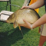 Karpfen 4