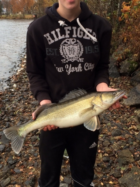 Zander Weißenstädter See Herbst 2015