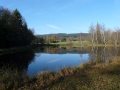 weissenweiher