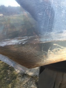 Glasaale Besatz 2016